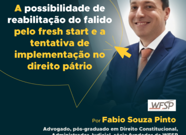 Fabio-Souza-Pinto_POST_Artigo-opinião_IBDE_2020_aprovação01-600x600